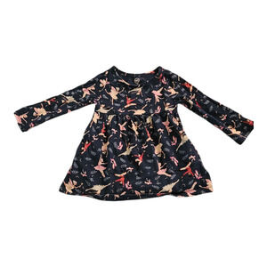 Wonder Nation Child Size 12M Long Sleeve Ballerina Dress